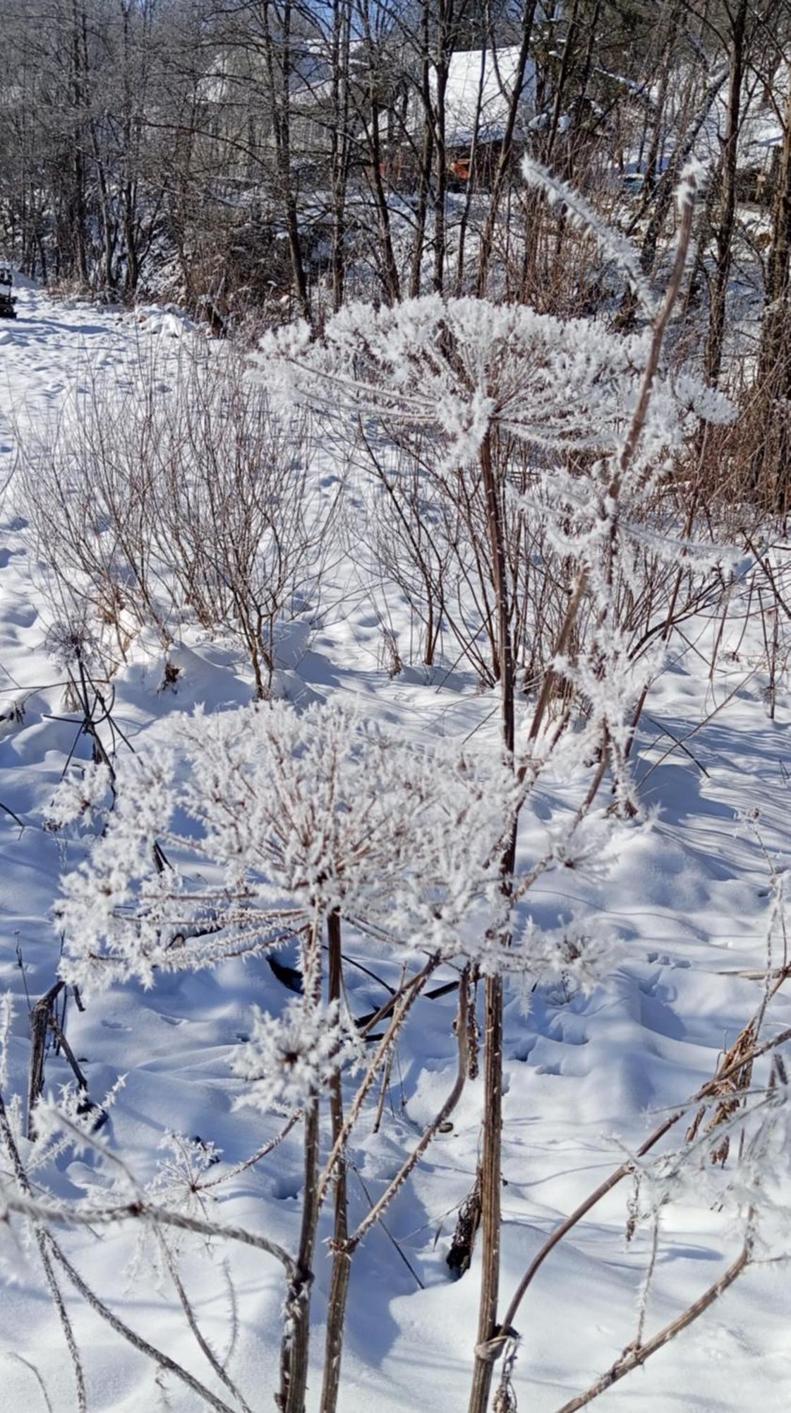 Затишний Будиночок Bukovets ภายนอก รูปภาพ